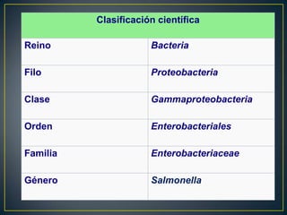 Clasificación científica
Reino Bacteria
Filo: Proteobacteria
Clase Gammaproteobacteria
Orden Enterobacteriales
Familia Enterobacteriaceae
Género Salmonella
 