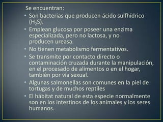 Se encuentran:
• Son bacterias que producen ácido sulfhídrico
(H2S).
• Emplean glucosa por poseer una enzima
especializada, pero no lactosa, y no
producen ureasa.
• No tienen metabolismo fermentativos.
• Se transmite por contacto directo o
contaminación cruzada durante la manipulación,
en el procesado de alimentos o en el hogar,
también por vía sexual.
• Algunas salmonellas son comunes en la piel de
tortugas y de muchos reptiles
• El hábitat natural de esta especie normalmente
son en los intestinos de los animales y los seres
humanos.
 