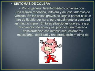 • SÍNTOMAS DE CÓLERA
• Por lo general, la enfermedad comienza con
una diarrea repentina, indolora y acuosa, además de
vómitos. En los casos graves se llega a perder casi un
litro de líquido por hora, pero usualmente la cantidad
es mucho menor. En tales situaciones graves, la gran
disminución de agua y sal produce una marcada
deshidratación con intensa sed, calambres
musculares, debilidad y una producción mínima de
orina.
 