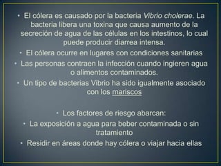 • El cólera es causado por la bacteria Vibrio cholerae. La
bacteria libera una toxina que causa aumento de la
secreción de agua de las células en los intestinos, lo cual
puede producir diarrea intensa.
• El cólera ocurre en lugares con condiciones sanitarias
• Las personas contraen la infección cuando ingieren agua
o alimentos contaminados.
• Un tipo de bacterias Vibrio ha sido igualmente asociado
con los mariscos
• Los factores de riesgo abarcan:
• La exposición a agua para beber contaminada o sin
tratamiento
• Residir en áreas donde hay cólera o viajar hacia ellas
 
