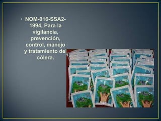• NOM-016-SSA2-
1994, Para la
vigilancia,
prevención,
control, manejo
y tratamiento del
cólera.
 