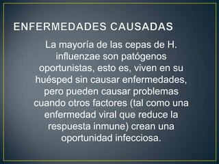 La mayoría de las cepas de H.
influenzae son patógenos
oportunistas, esto es, viven en su
huésped sin causar enfermedades,
pero pueden causar problemas
cuando otros factores (tal como una
enfermedad viral que reduce la
respuesta inmune) crean una
oportunidad infecciosa.
 
