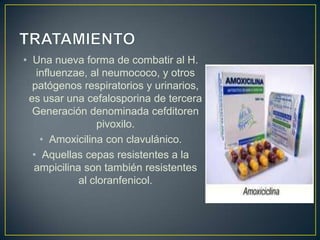 • Una nueva forma de combatir al H.
influenzae, al neumococo, y otros
patógenos respiratorios y urinarios,
es usar una cefalosporina de tercera
Generación denominada cefditoren
pivoxilo.
• Amoxicilina con clavulánico.
• Aquellas cepas resistentes a la
ampicilina son también resistentes
al cloranfenicol.
 