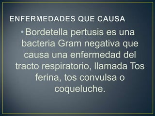 •Bordetella pertusis es una
bacteria Gram negativa que
causa una enfermedad del
tracto respiratorio, llamada Tos
ferina, tos convulsa o
coqueluche.
 