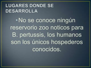 •No se conoce ningún
reservorio zoo noticos para
B. pertussis, los humanos
son los únicos hospederos
conocidos.
 