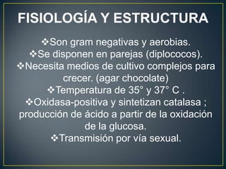 FISIOLOGÍA Y ESTRUCTURA
Son gram negativas y aerobias.
Se disponen en parejas (diplococos).
Necesita medios de cultivo complejos para
crecer. (agar chocolate)
Temperatura de 35° y 37° C .
Oxidasa-positiva y sintetizan catalasa ;
producción de ácido a partir de la oxidación
de la glucosa.
Transmisión por vía sexual.
 