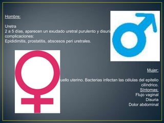 Mujer:
Cuello uterino. Bacterias infectan las células del epitelio
cilíndrico.
Síntomas;
Flujo vaginal
Disuria
Dolor abdominal
Hombre:
Uretra
2 a 5 días, aparecen un exudado uretral purulento y disuria.
complicaciones:
Epididimitis, prostatitis, abscesos peri uretrales.
 