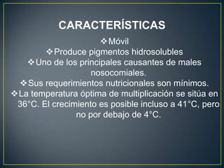 Móvil
Produce pigmentos hidrosolubles
Uno de los principales causantes de males
nosocomiales.
Sus requerimientos nutricionales son mínimos.
La temperatura óptima de multiplicación se sitúa en
36°C. El crecimiento es posible incluso a 41°C, pero
no por debajo de 4°C.
CARACTERÍSTICAS
 