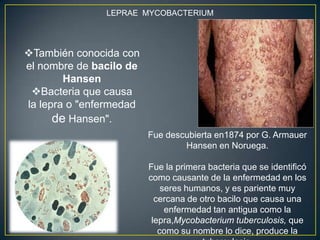 También conocida con
el nombre de bacilo de
Hansen
Bacteria que causa
la lepra o "enfermedad
de Hansen".
LEPRAE MYCOBACTERIUM
Fue descubierta en1874 por G. Armauer
Hansen en Noruega.
Fue la primera bacteria que se identificó
como causante de la enfermedad en los
seres humanos, y es pariente muy
cercana de otro bacilo que causa una
enfermedad tan antigua como la
lepra,Mycobacterium tuberculosis, que
como su nombre lo dice, produce la
 