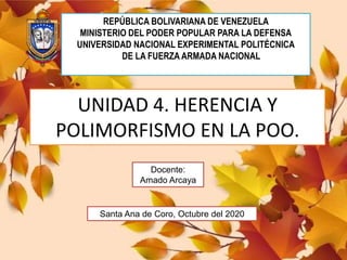 UNIDAD 4. HERENCIA Y
POLIMORFISMO EN LA POO.
REPÚBLICA BOLIVARIANA DE VENEZUELA
MINISTERIO DEL PODER POPULAR PARA LA DEFENSA
UNIVERSIDAD NACIONAL EXPERIMENTAL POLITÉCNICA
DE LA FUERZA ARMADA NACIONAL
Docente:
Amado Arcaya
Santa Ana de Coro, Octubre del 2020
 