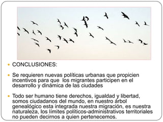  CONCLUSIONES:
 Se requieren nuevas políticas urbanas que propicien
incentivos para que los migrantes participen en el
desarrollo y dinámica de las ciudades
 Todo ser humano tiene derechos, igualdad y libertad,
somos ciudadanos del mundo, en nuestro árbol
genealógico esta integrada nuestra migración, es nuestra
naturaleza, los límites políticos-administrativos territoriales
no pueden decirnos a quien pertenecemos.
 