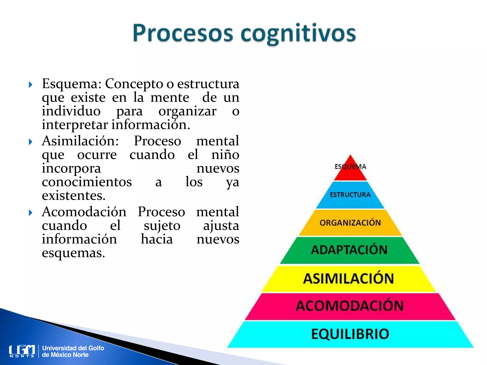  Esquema: Concepto o estructura
que existe en la mente de un
individuo para organizar o
interpretar información.
Asimilación: Proceso mental
que ocurre cuando el niño
incorpora nuevos
conocimientos a los ya
existentes.
Acomodación Proceso mental
cuando el sujeto ajusta
información hacia nuevos
esquemas.