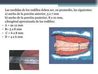 Técnica de Construcción de Bases y Rodetes | PPT