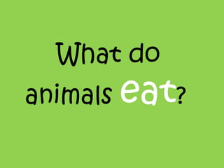 What do  animals  eat ? 