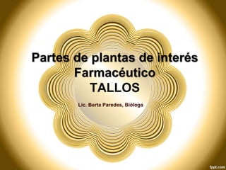 Partes de plantas de interés
Farmacéutico
TALLOS
Lic. Berta Paredes, Bióloga
 