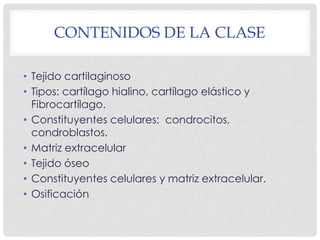 CONTENIDOS DE LA CLASE

• Tejido cartilaginoso
• Tipos: cartílago hialino, cartílago elástico y
  Fibrocartílago.
• Consti...