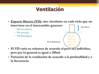 VentilaciónEspacioMuerto (VD): airecirculante en cadacicloque no interviene en el intercambiogaseoso:VD anatómicoVD alveolarVD fisiológicoEl VD varía en volumen de acuerdo al peso del individuo, peropor lo general esigual a 150ml.Variación de la ventilación de acuerdo a la profundidad y a la frecuencia.}Esp. MuertoPO2= 100PCO2= 40PN2 ~ 600PH2O= 47Zona  Respiratoria
