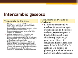 Intercambio gaseosoTransporte de OxígenoTransporte de Dióxido de CarbonoEl oxígeno no es muy soluble en agua. La mayor parte del oxígeno que se transporta en la sangre está unido a la Hemoglobina, un pigmento respiratorio que se encuentra en los eritrocitos. La hemoglobina transporta cerca del 97% del oxígeno en la sangre.Cuando la sangre llega a los tejidos con bajas concentraciones de oxígeno, la hemoglobina comienza a liberar su oxígeno. Este se difunde hacia los líquidos tisulares y se distribuye hacia las células. La hemoglobina está saturada al 60% con oxígeno para el momento en que la sangre regresa a los pulmones. Ha cedido cerca del 37% del oxígeno que captó en los pulmones. Si los tejidos tienen niveles bajos de oxígeno, la hemoglobina cede más oxígeno.El dióxido de carbono es mucho más soluble en agua que el oxígeno. El dióxido de carbono pasa con rapidez a través de las membranas alveolares y capilares, y penetra en el torrente sanguíneo. En la sangre, sólo cerca del 10% del dióxido de carbono está disuelto en plasma, y aproximadamente el 20% se une a la hemoglobina.