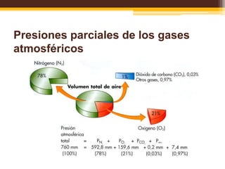 Presiones parciales de los gases atmosféricos