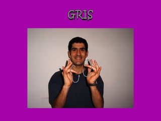 GRIS
 