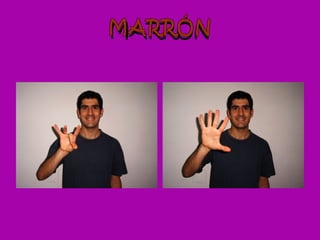 MARRÓN