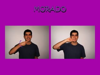 MORADO