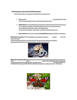 Estrategiasde lapresafrentealdepredador
Esencialmentelo consiguenmediantetresmecanismos:
Huir:paralo queadoptanformaso
miembrosquelespermitenunrápidodesplazamiento.
Defenderse:mediantelaadquisiciónderevestimientosprotectores(tortug
as,cangrejos,almejas)uórganosdefensivos(cuernosenlostoroso
ñus,espinasenloserizos,estructurastóxicaso
venenosasenortigas,medusaso ciertasranastropicales,etc.).
Esconderse:fenómeno llamadomimetismoydelqueexistenvariostipos:
Mimetismocríptico:Porelcualelservivoadoptaunaspecto queles permite
pasardesaper-
cibidosrespectoalentorno(insectospalo,lenguadosopulposqueadoptan
lacoloracióndel fondo,camaleonesquecambiandecolor,etc.
Mimetismoaposemático:Enelquelaspresasadoptanaspectosqueloshacenparece
rsea otras especiesmáspeligrosas(mariposas
uorugasquetienendibujados“ojos”queasustana susdepredadores,
anfibiosoinsectosqueimitanlaformadeotrasespecies peligrosasove- nenosas).
 