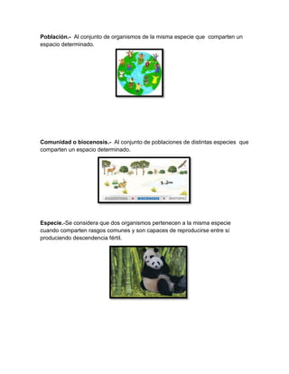 Población.- Al conjunto de organismos de la misma especie que comparten un
espacio determinado.
Comunidad o biocenosis.- Al conjunto de poblaciones de distintas especies que
comparten un espacio determinado.
Especie.-Se considera que dos organismos pertenecen a la misma especie
cuando comparten rasgos comunes y son capaces de reproducirse entre sí
produciendo descendencia fértil.
 