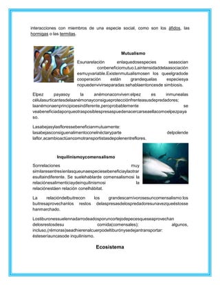 interacciones con miembros de una especie social, como son los áfidos, las
hormigas o las termitas.
Mutualismo
Esunarelación enlaquedosespecies seasocian
conbeneficiomutuo.Laintensidaddelaasociación
esmuyvariable.Existenmutualismosen los queelgradode
cooperación están grandequelas especiesya
nopuedenvivirseparadas:sehablaentoncesde simbiosis.
Elpez payasoy la anémonaconviven:elpez es inmunealas
célulasurticantesdelaanémonayconsigueprotecciónfrenteasusdepredadores;
laanémonaenprincipioesindiferente,peroprobablemente se
veabeneficiadaporqueotrasposiblespresaspuedenacercarseaellacomoelpezpaya
so.
Lasabejasylasfloressebeneficianmutuamente:
lasabejasconsiguenalimentoconelnéctaryparte delpolende
laflor,acambioactúancomotransportistasdepolenentreflores.
Inquilinismoycomensalismo
Sonrelaciones muy
similaresentresíenlasqueunaespeciesebeneficiaylaotrar
esultaindiferente. Se suelehablarde comensalismosi la
relaciónesalimenticiaydeinquilinismosi la
relaciónestáen relación conelhábitat.
La relacióndelbuitrecon los grandescarnívorosesuncomensalismo:los
buitresaprovechanlos restos delaspresasdelospredadoresunavezqueéstosse
hanmarchado.
Lostiburonessuelennadarrodeadosporuncortejodepecesqueseaprovechan
delosrestosdesu comida(comensales); algunos,
incluso,(rémoras)seadhierenalcuerpodeltiburónysedejantransportar:
ésteseríauncasode inquilinismo.
Ecosistema
 