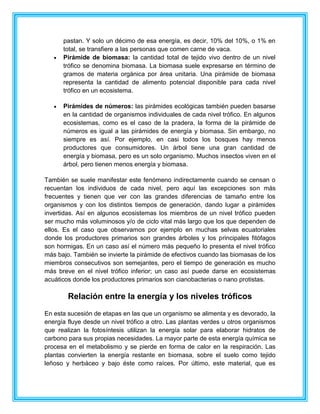 pastan. Y solo un décimo de esa energía, es decir, 10% del 10%, o 1% en
total, se transfiere a las personas que comen carne de vaca.
Pirámide de biomasa: la cantidad total de tejido vivo dentro de un nivel
trófico se denomina biomasa. La biomasa suele expresarse en término de
gramos de materia orgánica por área unitaria. Una pirámide de biomasa
representa la cantidad de alimento potencial disponible para cada nivel
trófico en un ecosistema.
Pirámides de números: las pirámides ecológicas también pueden basarse
en la cantidad de organismos individuales de cada nivel trófico. En algunos
ecosistemas, como es el caso de la pradera, la forma de la pirámide de
números es igual a las pirámides de energía y biomasa. Sin embargo, no
siempre es así. Por ejemplo, en casi todos los bosques hay menos
productores que consumidores. Un árbol tiene una gran cantidad de
energía y biomasa, pero es un solo organismo. Muchos insectos viven en el
árbol, pero tienen menos energía y biomasa.
También se suele manifestar este fenómeno indirectamente cuando se censan o
recuentan los individuos de cada nivel, pero aquí las excepciones son más
frecuentes y tienen que ver con las grandes diferencias de tamaño entre los
organismos y con los distintos tiempos de generación, dando lugar a pirámides
invertidas. Así en algunos ecosistemas los miembros de un nivel trófico pueden
ser mucho más voluminosos y/o de ciclo vital más largo que los que dependen de
ellos. Es el caso que observamos por ejemplo en muchas selvas ecuatoriales
donde los productores primarios son grandes árboles y los principales fitófagos
son hormigas. En un caso así el número más pequeño lo presenta el nivel trófico
más bajo. También se invierte la pirámide de efectivos cuando las biomasas de los
miembros consecutivos son semejantes, pero el tiempo de generación es mucho
más breve en el nivel trófico inferior; un caso así puede darse en ecosistemas
acuáticos donde los productores primarios son cianobacterias o nano protistas.
Relación entre la energía y los niveles tróficos
En esta sucesión de etapas en las que un organismo se alimenta y es devorado, la
energía fluye desde un nivel trófico a otro. Las plantas verdes u otros organismos
que realizan la fotosíntesis utilizan la energía solar para elaborar hidratos de
carbono para sus propias necesidades. La mayor parte de esta energía química se
procesa en el metabolismo y se pierde en forma de calor en la respiración. Las
plantas convierten la energía restante en biomasa, sobre el suelo como tejido
leñoso y herbáceo y bajo éste como raíces. Por último, este material, que es
 