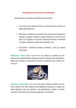 Estrategias de la presa frente al depredador
Esencialmente lo consiguen mediante tres mecanismos:
Huir: Para lo que adoptan formas o miembros que les permiten un
rápido desplazamiento.
Defenderse: Mediante la adquisición de revestimientos protectores
(tortugas, cangrejos, almejas) u órganos defensivos (cuernos en los
toros o ñus espinas en los erizos, estructuras tóxicas o venenosas
en ortigas, medusas o ciertas ranas tropicales, etc.).
Esconderse: Fenómeno llamado mimetismo y del que existen
varios tipos:
Mimetismo críptico: Por el cual el ser vivo adopta un aspecto que les
permite pasar desapercibidos respecto al entorno (insectos palo, lenguados o
pulpos que adoptan la coloración del fondo, camaleones que cambian de
color, etc.
Mimetismo aposemático: En el que las presas adoptan aspectos que los
hacen parecer sea otras especies más peligrosas (mariposas u orugas que
tienen dibujados “ojos” que asustan a sus depredadores, anfibios o insectos
que imitan la forma de otras especies peligrosas o venenosas).
 