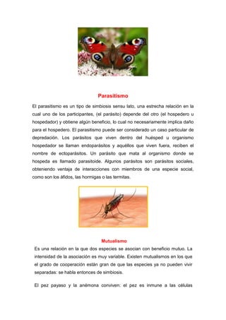 Parasitismo
El parasitismo es un tipo de simbiosis sensu lato, una estrecha relación en la
cual uno de los participantes, (el parásito) depende del otro (el hospedero u
hospedador) y obtiene algún beneficio, lo cual no necesariamente implica daño
para el hospedero. El parasitismo puede ser considerado un caso particular de
depredación. Los parásitos que viven dentro del huésped u organismo
hospedador se llaman endoparásitos y aquéllos que viven fuera, reciben el
nombre de ectoparásitos. Un parásito que mata al organismo donde se
hospeda es llamado parasitoide. Algunos parásitos son parásitos sociales,
obteniendo ventaja de interacciones con miembros de una especie social,
como son los áfidos, las hormigas o las termitas.
Mutualismo
Es una relación en la que dos especies se asocian con beneficio mutuo. La
intensidad de la asociación es muy variable. Existen mutualismos en los que
el grado de cooperación están gran de que las especies ya no pueden vivir
separadas: se habla entonces de simbiosis.
El pez payaso y la anémona conviven: el pez es inmune a las células
 