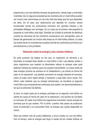 organismos y con los distintos tiempos de generación, dando lugar a pirámides
invertidas. Así en algunos ecosistemas los miembros de un nivel trófico pueden
ser mucho más voluminosos y/o de ciclo vital más largo que los que dependen
de ellos. Es el caso que observamos por ejemplo en muchas selvas
ecuatoriales donde los productores primarios son grandes árboles y los
principales fitófagos son hormigas. En un caso así el número más pequeño lo
presenta el nivel trófico más bajo. También se invierte la pirámide de efectivos
cuando las biomasas de los miembros consecutivos son semejantes, pero el
tiempo de generación es mucho más breve en el nivel trófico inferior; un caso
así puede darse en ecosistemas acuáticos donde los productores primarios son
cianobacterias o nano protistas.
Relación entre la energía y los niveles tróficos
En esta sucesión de etapas en las que un organismo se alimenta y es
devorado, la energía fluye desde un nivel trófico a otro. Las plantas verdes u
otros organismos que realizan la fotosíntesis utilizan la energía solar para
elaborar hidratos de carbono para sus propias necesidades. La mayor parte de
esta energía química se procesa en el metabolismo y se pierde en forma de
calor en la respiración. Las plantas convierten la energía restante en biomasa,
sobre el suelo como tejido leñoso y herbáceo y bajo éste como raíces. Por
último, este material, que es energía almacenada, se transfiere al segundo
nivel trófico que comprende los herbívoros que pastan, los descomponedores y
los que se alimentan de detritos.
Si bien, la mayor parte de la energía asimilada en el segundo nivel trófico se
pierde de nuevo en forma de calor en la respiración, una porción se convierte
en biomasa. En cada nivel trófico los organismos convierten menos energía en
biomasa que la que reciben. Por lo tanto, cuantos más pasos se produzcan
entre el productor y el consumidor final, la energía que queda disponible es
menor.
Rara vez existen más de cuatro eslabones, o cinco niveles, en una red trófica.
Con el tiempo, toda la energía que fluye a través de los niveles tróficos se
 