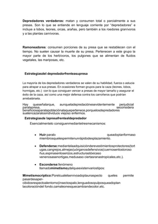 Depredadores verdaderos: matan y consumen total o parcialmente a sus
presas. Son lo que se entiende en lenguaje corriente por “depredadores” e
incluye a lobos, leones, orcas, arañas, pero también a los roedores granívoros
y a las plantas carnívoras.
Ramoneadores: consumen porciones de su presa que se restablecen con el
tiempo. No suelen causar la muerte de su presa. Pertenecen a este grupo la
mayor parte de los herbívoros, los pulgones que se alimentan de fluidos
vegetales, las mariposas, etc.
Estrategiasdel depredadorfrenteasupresa
La mayoría de los depredadores verdaderos se valen de su habilidad, fuerza o astucia
para atrapar a sus presas. En ocasiones forman grupos para la caza (leones, lobos,
hormigas, etc.) con lo que consiguen vencer a presas de mayor tamaño y asegurar el
éxito de la caza, así como una mejor defensa contra los carroñeros que podrían
arrebatársela.
Hay queseñalarque, aunqueladepredaciónesevidentemente perjudicial
paralapresa, seconsidera
beneficiosaparalapoblaciónalaquepertenece,porquelosdepredadores
suelencazaralosindividuos viejoso enfermos.
Estrategiasde lapresafrentealdepredador
Esencialmentelo consiguenmediantetresmecanismos:
Huir:paralo queadoptanformaso
miembrosquelespermitenunrápidodesplazamiento.
Defenderse:mediantelaadquisiciónderevestimientosprotectores(tort
ugas,cangrejos,almejas)uórganosdefensivos(cuernosenlostoroso
ñus,espinasenloserizos,estructurastóxicaso
venenosasenortigas,medusaso ciertasranastropicales,etc.).
Esconderse:fenómeno
llamadomimetismoydelqueexistenvariostipos:
Mimetismocríptico:Porelcualelservivoadoptaunaspecto queles permite
pasardesaper-
cibidosrespectoalentorno(insectospalo,lenguadosopulposqueadoptan
lacoloracióndel fondo,camaleonesquecambiandecolor,etc.
 