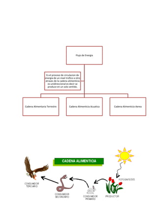 Flujo de Energia
Cadena Alimentaria Terrestre Cadena Alimenticia Acuatica Cadena Alimenticia Aerea
Es el proceso de circulacion de
energia de un nivel trofico a otro
atraves de la cadena alimenticia
es unidireccional es decir se
produce en un solo sentido.
 