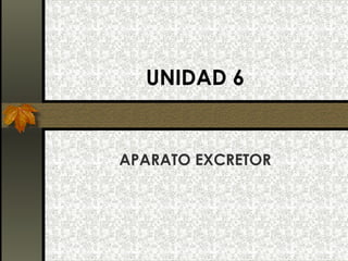 UNIDAD 6
APARATO EXCRETOR
 