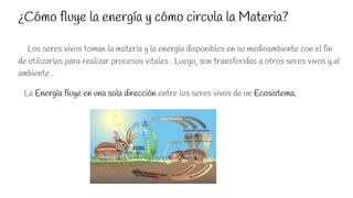 ¿Cómo fluye la energía y cómo circula la Materia?
Los seres vivos toman la materia y la energía disponibles en su medioambiente con el fin
de utilizarlas para realizar procesos vitales . Luego, son transferidas a otros seres vivos y al
ambiente .
La Energía fluye en una sola dirección entre los seres vivos de un Ecosistema.
 