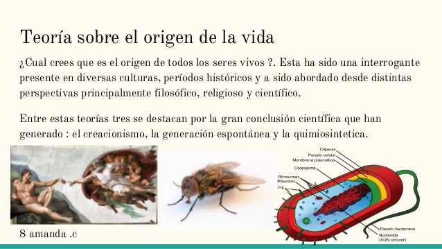 Unidad 5:origen de los seres vivos