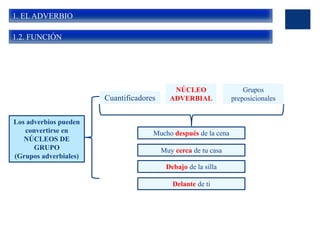 1. EL ADVERBIO
1.2. FUNCIÓN
Los adverbios pueden
convertirse en
NÚCLEOS DE
GRUPO
(Grupos adverbiales)
Cuantificadores
NÚCLEO
ADVERBIAL
Grupos
preposicionales
Mucho después de la cena
Muy cerca de tu casa
Debajo de la silla
Delante de ti
 