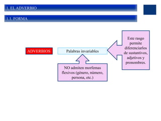 1. EL ADVERBIO
1.1. FORMA
ADVERBIOS Palabras invariables
NO admiten morfemas
flexivos (género, número,
persona, etc.)
Este rasgo
permite
diferenciarlos
de sustantivos,
adjetivos y
pronombres.
 