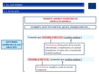 1. EL ADVERBIO
1.2. FUNCIÓN
ADVERBIO
modificador de una
ORACIÓN
MODIFICADORES PERIFÉRICOS
(MODALIZADORES)
TAMBIÉN, EFECTIVAMENTE, QUIZÁ, POSIBLEMENTE…
Comentó que [POSIBLEMENTE] [vendría mañana.]
Posiblemente forma parte de la oración
subordinada y complementa a la unidad
formada por el sujeto (él) y el predicado
(vendría mañana)
[POSIBLEMENTE] [comentó que vendría mañana.]
Posiblemente modifica a toda la oración
compuesta.
 