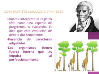 Lamarck interpreta el registro
  fósil como una especie de
  progresión, o evolución. Él
  dice que esta evolución de
  debe a dos fenómenos:
-Herencia     de   caracteres
  adquiridos.
-Los     organismos    tienen
  fuerza interna que los
  impulsa                   al
  perfeccionamiento.
 