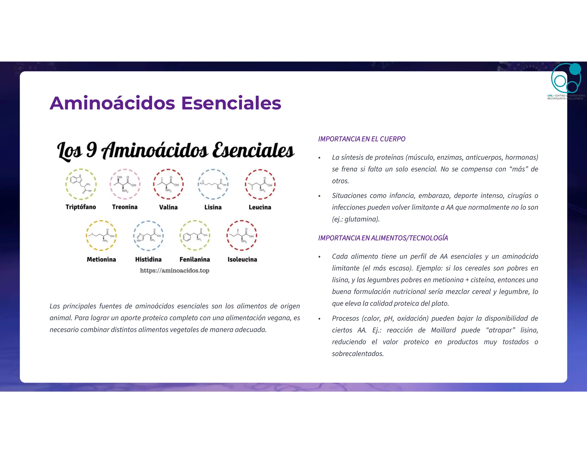 Aminoácidos Esenciales
Las principales fuentes de aminoácidos esenciales son los alimentos de origen
animal. Para lograr un aporte proteico completo con una alimentación vegana, es
necesario combinar distintos alimentos vegetales de manera adecuada.
IMPORTANCIA EN EL CUERPO
• La síntesis de proteínas (músculo, enzimas, anticuerpos, hormonas)
se frena si falta un solo esencial. No se compensa con “más” de
otros.
• Situaciones como infancia, embarazo, deporte intenso, cirugías o
infecciones pueden volver limitante a AA que normalmente no lo son
(ej.: glutamina).
IMPORTANCIA EN ALIMENTOS/TECNOLOGÍA
• Cada alimento tiene un perfil de AA esenciales y un aminoácido
limitante (el más escaso). Ejemplo: si los cereales son pobres en
lisina, y las legumbres pobres en metionina + cisteína, entonces una
buena formulación nutricional sería mezclar cereal y legumbre, lo
que eleva la calidad proteica del plato.
• Procesos (calor, pH, oxidación) pueden bajar la disponibilidad de
ciertos AA. Ej.: reacción de Maillard puede “atrapar” lisina,
reduciendo el valor proteico en productos muy tostados o
sobrecalentados.
 