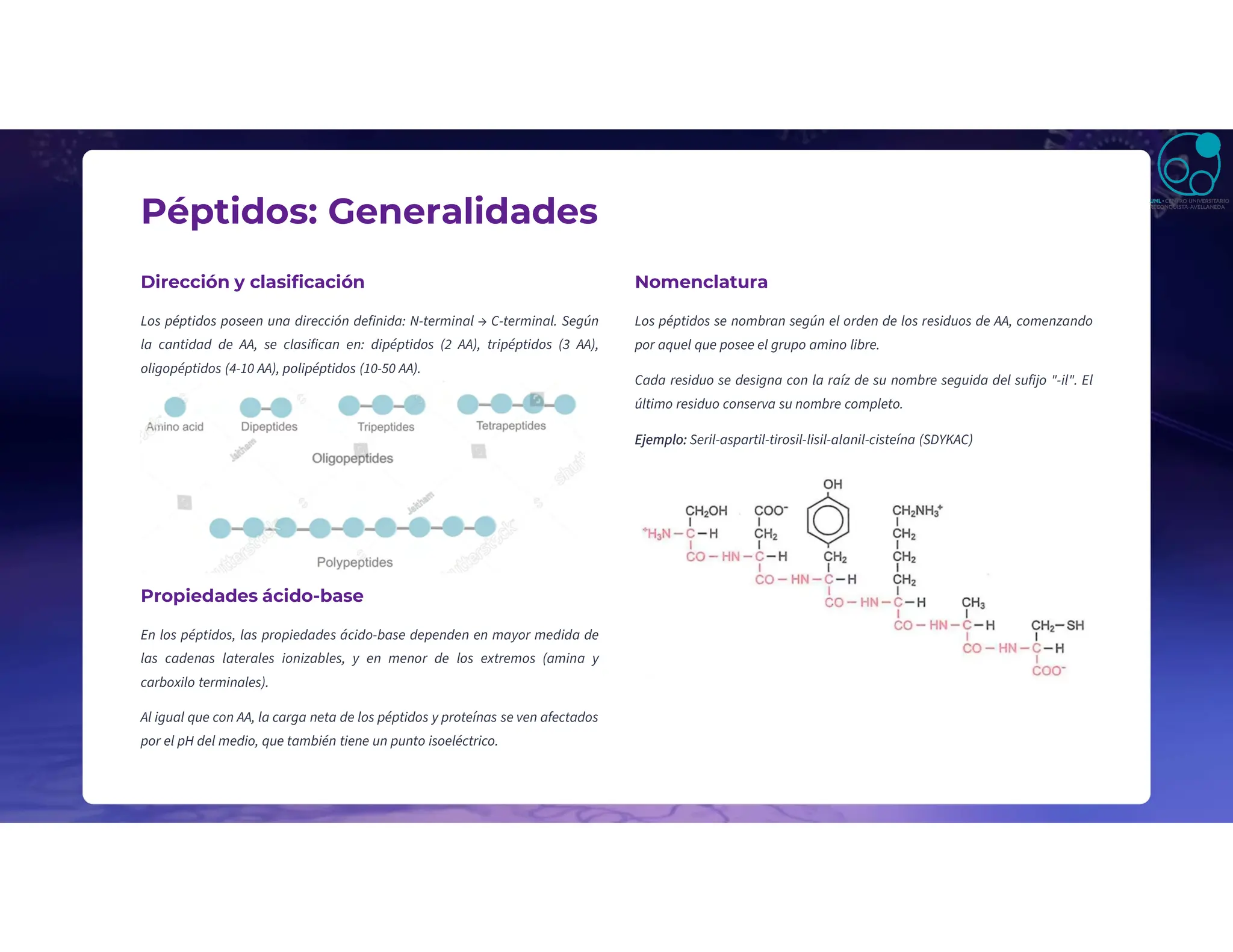 Péptidos: Generalidades
Dirección y clasificación
Los péptidos poseen una dirección definida: N-terminal → C-terminal. Según
la cantidad de AA, se clasifican en: dipéptidos (2 AA), tripéptidos (3 AA),
oligopéptidos (4-10 AA), polipéptidos (10-50 AA).
Propiedades ácido-base
En los péptidos, las propiedades ácido-base dependen en mayor medida de
las cadenas laterales ionizables, y en menor de los extremos (amina y
carboxilo terminales).
Al igual que con AA, la carga neta de los péptidos y proteínas se ven afectados
por el pH del medio, que también tiene un punto isoeléctrico.
Nomenclatura
Los péptidos se nombran según el orden de los residuos de AA, comenzando
por aquel que posee el grupo amino libre.
Cada residuo se designa con la raíz de su nombre seguida del sufijo "-il". El
último residuo conserva su nombre completo.
Ejemplo: Seril-aspartil-tirosil-lisil-alanil-cisteína (SDYKAC)
 