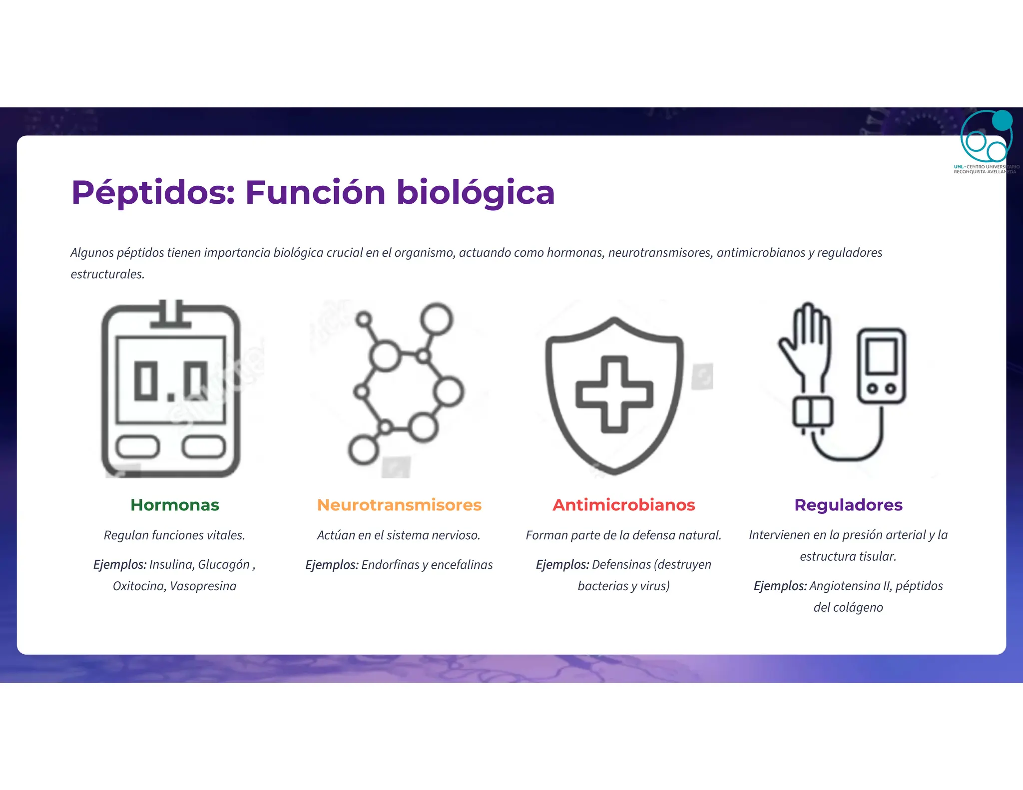 Péptidos: Función biológica
Algunos péptidos tienen importancia biológica crucial en el organismo, actuando como hormonas, neurotransmisores, antimicrobianos y reguladores
estructurales.
Hormonas
Regulan funciones vitales.
Ejemplos: Insulina, Glucagón ,
Oxitocina, Vasopresina
Neurotransmisores
Actúan en el sistema nervioso.
Ejemplos: Endorfinas y encefalinas
Antimicrobianos
Forman parte de la defensa natural.
Ejemplos: Defensinas (destruyen
bacterias y virus)
Reguladores
Intervienen en la presión arterial y la
estructura tisular.
Ejemplos: Angiotensina II, péptidos
del colágeno
 
