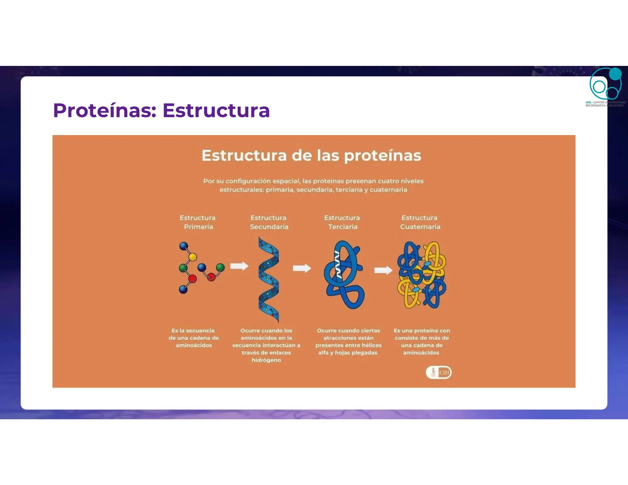 Proteínas: Estructura
 
