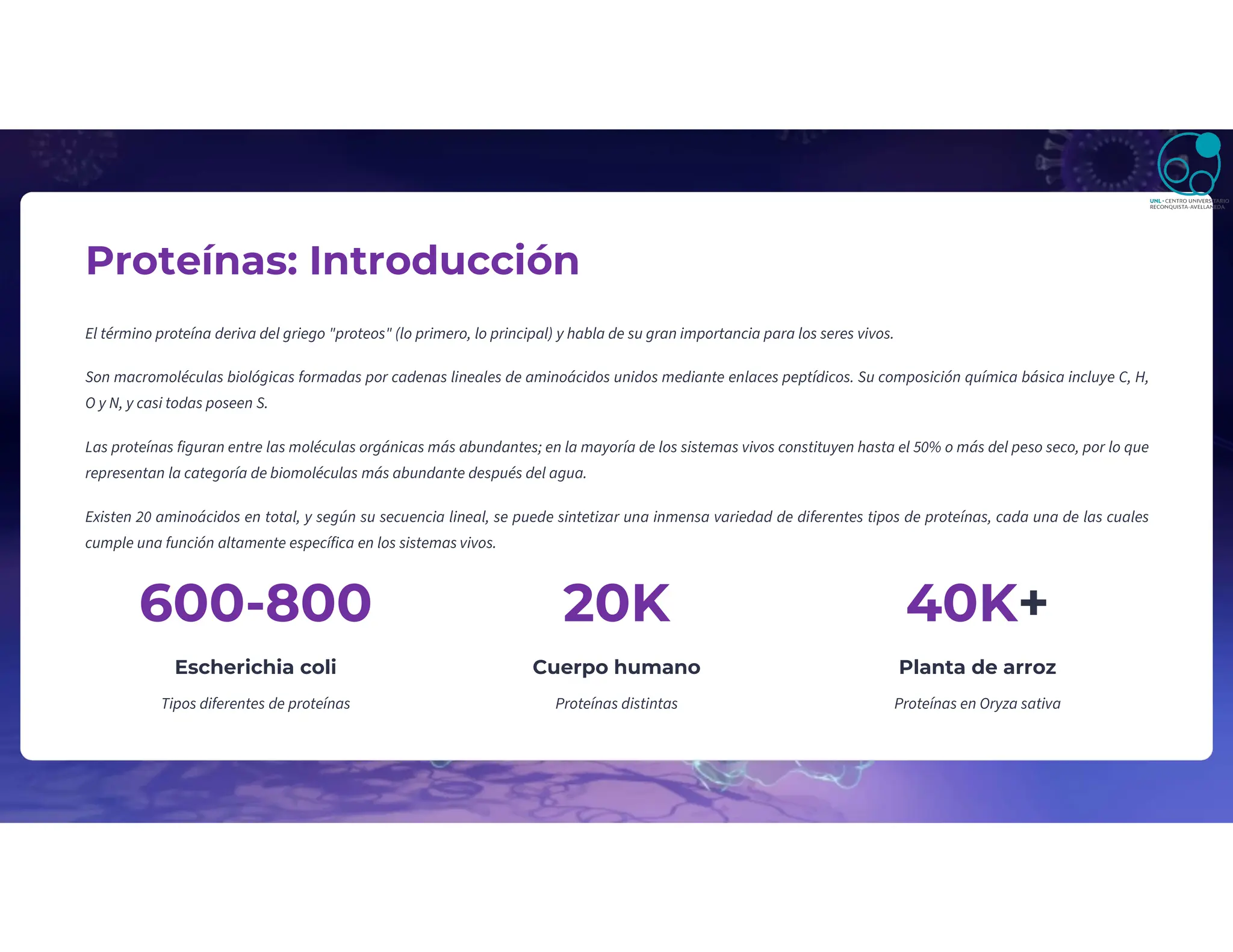 Proteínas: Introducción
El término proteína deriva del griego "proteos" (lo primero, lo principal) y habla de su gran importancia para los seres vivos.
Son macromoléculas biológicas formadas por cadenas lineales de aminoácidos unidos mediante enlaces peptídicos. Su composición química básica incluye C, H,
O y N, y casi todas poseen S.
Las proteínas figuran entre las moléculas orgánicas más abundantes; en la mayoría de los sistemas vivos constituyen hasta el 50% o más del peso seco, por lo que
representan la categoría de biomoléculas más abundante después del agua.
Existen 20 aminoácidos en total, y según su secuencia lineal, se puede sintetizar una inmensa variedad de diferentes tipos de proteínas, cada una de las cuales
cumple una función altamente específica en los sistemas vivos.
600-800
Escherichia coli
Tipos diferentes de proteínas
20K
Cuerpo humano
Proteínas distintas
40K+
Planta de arroz
Proteínas en Oryza sativa
 