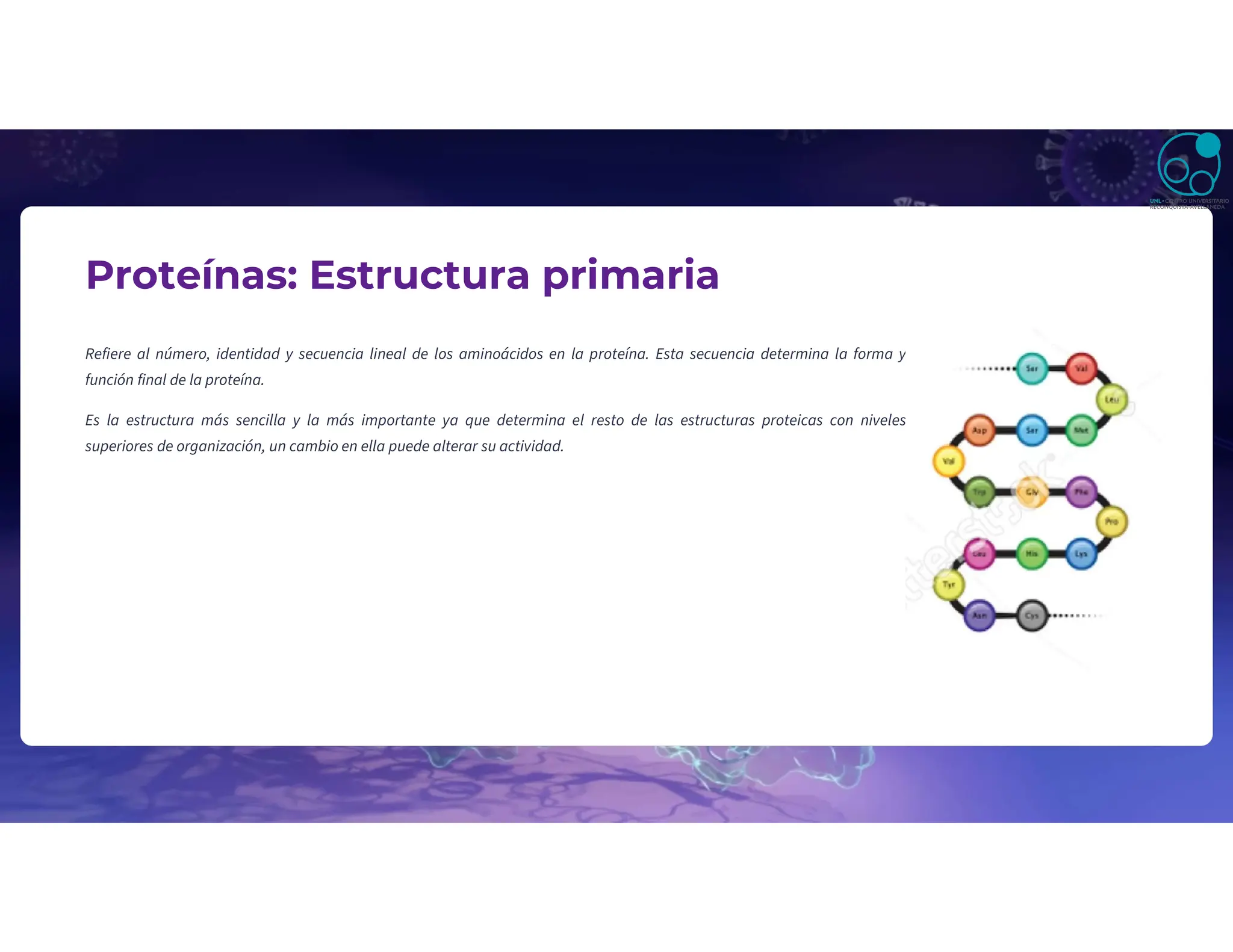 Proteínas: Estructura primaria
Refiere al número, identidad y secuencia lineal de los aminoácidos en la proteína. Esta secuencia determina la forma y
función final de la proteína.
Es la estructura más sencilla y la más importante ya que determina el resto de las estructuras proteicas con niveles
superiores de organización, un cambio en ella puede alterar su actividad.
 