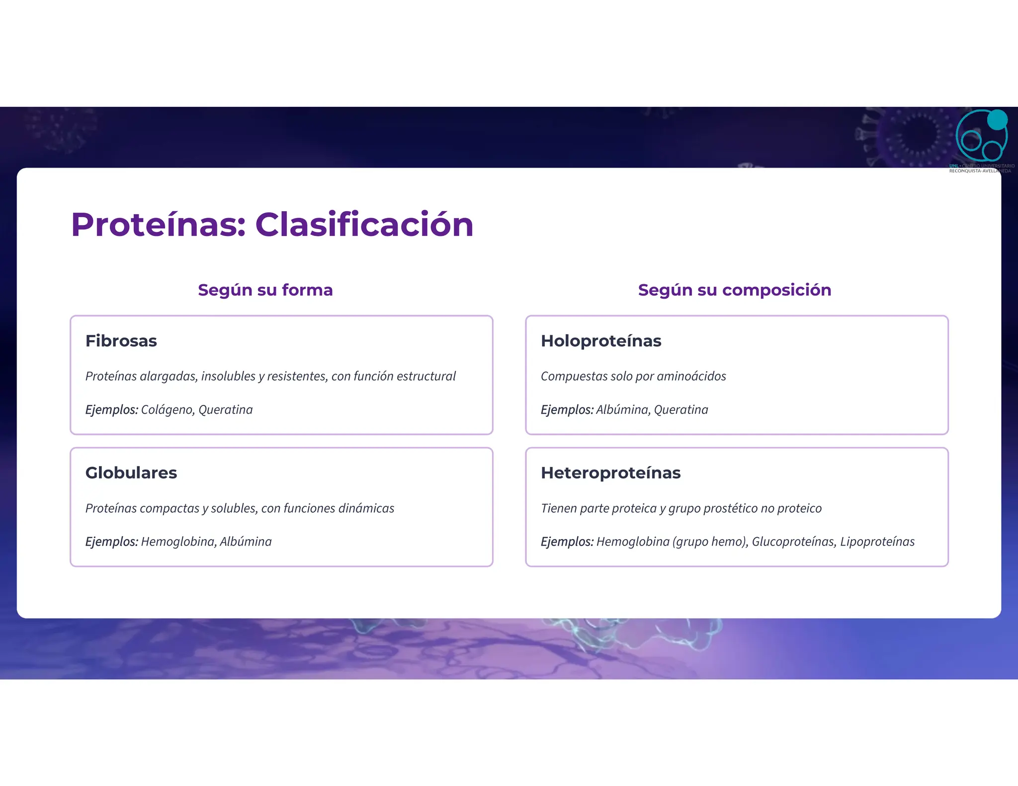 Proteínas: Clasificación
Según su forma
Fibrosas
Proteínas alargadas, insolubles y resistentes, con función estructural
Ejemplos: Colágeno, Queratina
Globulares
Proteínas compactas y solubles, con funciones dinámicas
Ejemplos: Hemoglobina, Albúmina
Según su composición
Holoproteínas
Compuestas solo por aminoácidos
Ejemplos: Albúmina, Queratina
Heteroproteínas
Tienen parte proteica y grupo prostético no proteico
Ejemplos: Hemoglobina (grupo hemo), Glucoproteínas, Lipoproteínas
 