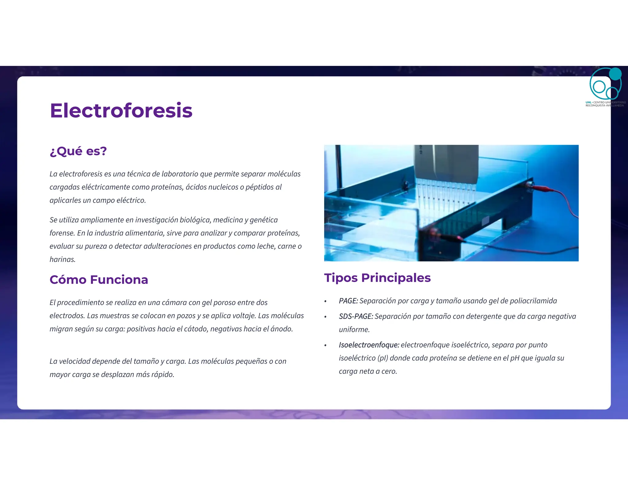 Electroforesis
¿Qué es?
La electroforesis es una técnica de laboratorio que permite separar moléculas
cargadas eléctricamente como proteínas, ácidos nucleicos o péptidos al
aplicarles un campo eléctrico.
Se utiliza ampliamente en investigación biológica, medicina y genética
forense. En la industria alimentaria, sirve para analizar y comparar proteínas,
evaluar su pureza o detectar adulteraciones en productos como leche, carne o
harinas.
Cómo Funciona
El procedimiento se realiza en una cámara con gel poroso entre dos
electrodos. Las muestras se colocan en pozos y se aplica voltaje. Las moléculas
migran según su carga: positivas hacia el cátodo, negativas hacia el ánodo.
La velocidad depende del tamaño y carga. Las moléculas pequeñas o con
mayor carga se desplazan más rápido.
Tipos Principales
• PAGE: Separación por carga y tamaño usando gel de poliacrilamida
• SDS-PAGE: Separación por tamaño con detergente que da carga negativa
uniforme.
• Isoelectroenfoque: electroenfoque isoeléctrico, separa por punto
isoeléctrico (pI) donde cada proteína se detiene en el pH que iguala su
carga neta a cero.
 